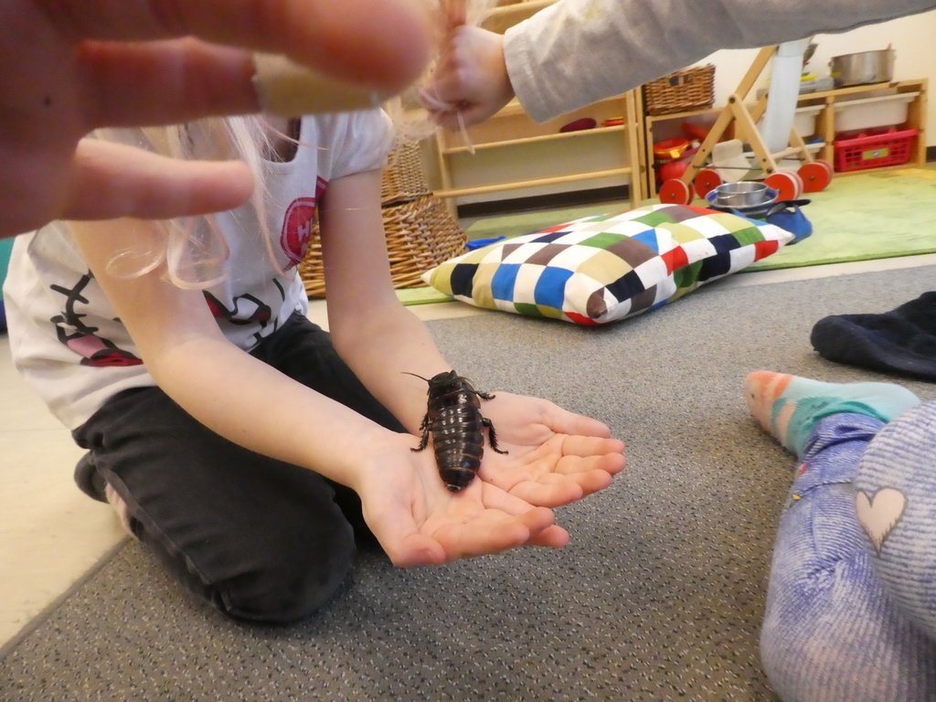 Kindergeburtstag im Wald